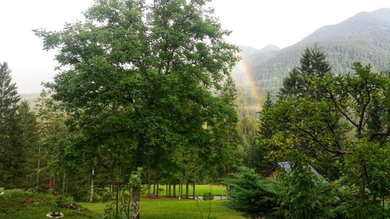 Pocitniska Hisa Eros Villa Bohinj Eksteriør bilde